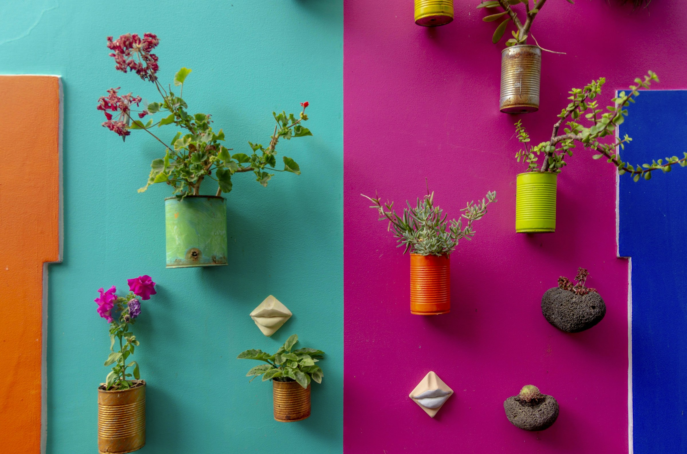 色とりどりの鉢に植えられた小さな植物